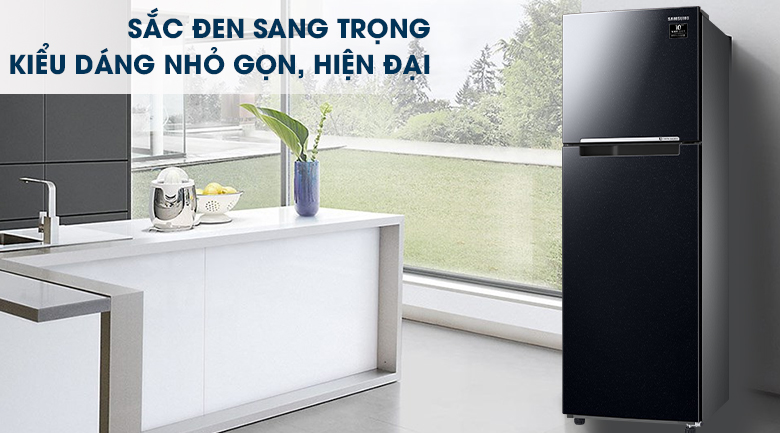 kiểu dáng sang trọng - Tủ lạnh Samsung Inverter 256 lít RT25M4032BU/SV