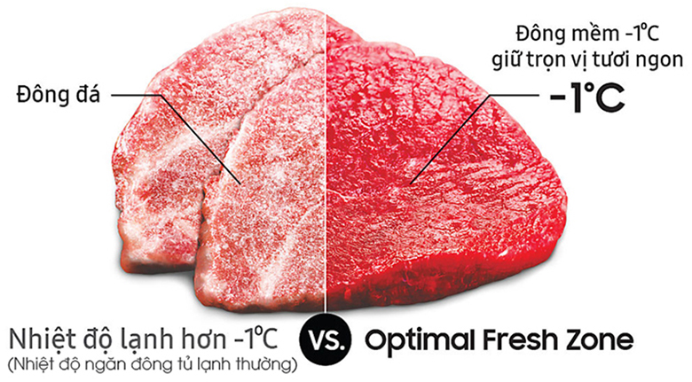 đông mềm - Tủ lạnh Samsung Inverter 256 lít RT25M4032BU/SV