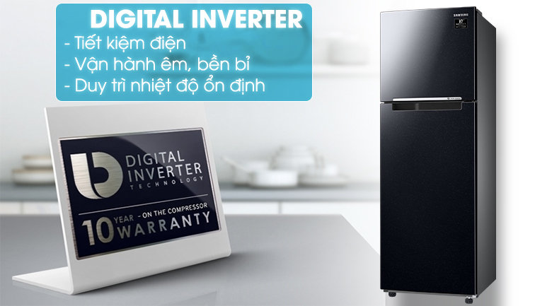 inverter - Tủ lạnh Samsung Inverter 256 lít RT25M4032BU/SV