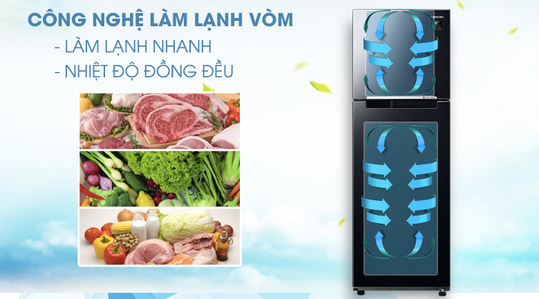 làm lạnh vòm - Tủ lạnh Samsung Inverter 256 lít RT25M4032BU/SV