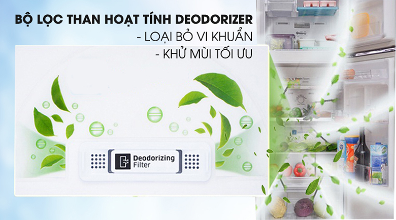 bộ lọc than hoạt tính - Tủ lạnh Samsung Inverter 256 lít RT25M4032BU/SV
